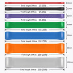 Stackable Resistance Bands Set | Heavy Duty Full Body Workout Trainer